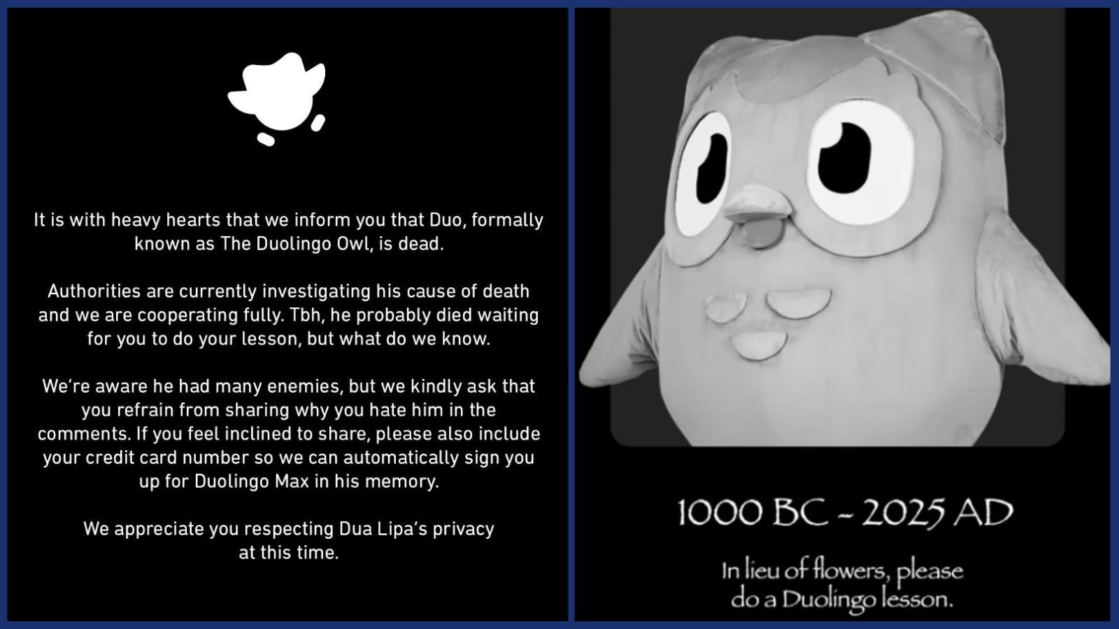 Duolingo's owl passes on, investigations ongoing