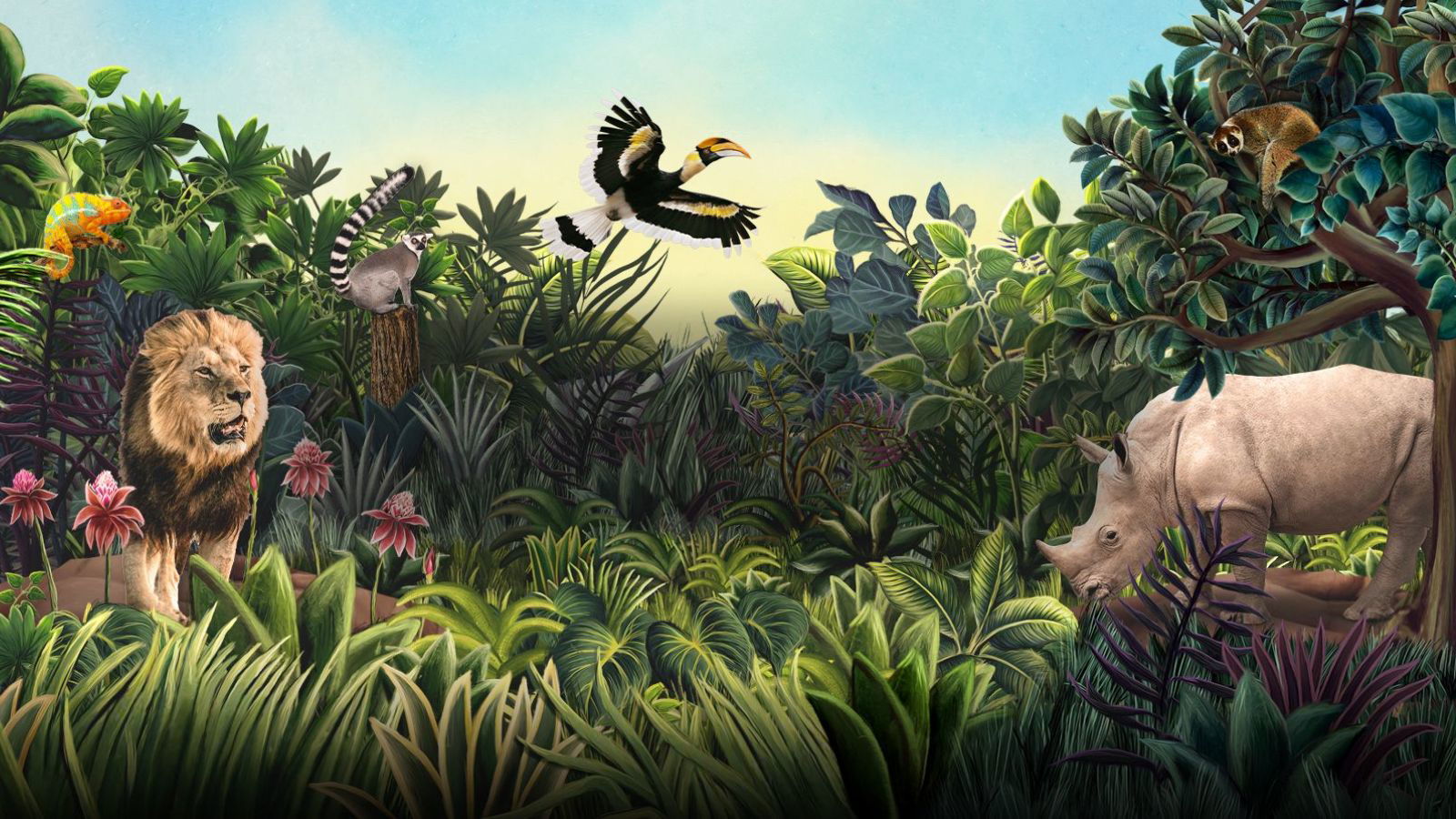 Mandai Wildlife Group hunts for media agency